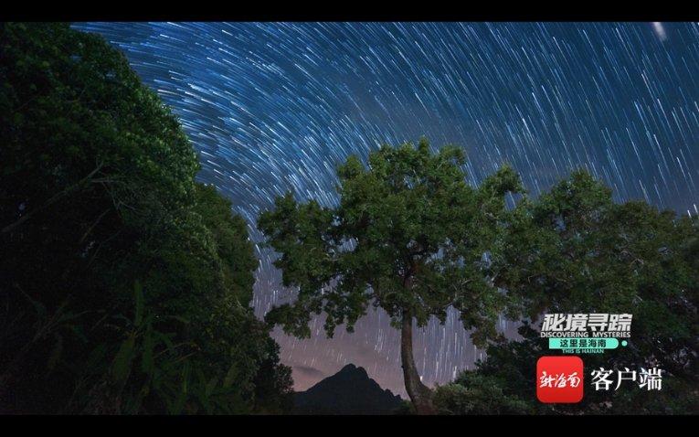 《年会不能停》戏外笑到喷饭，大鹏爆改古装美男、白客研读ABO...